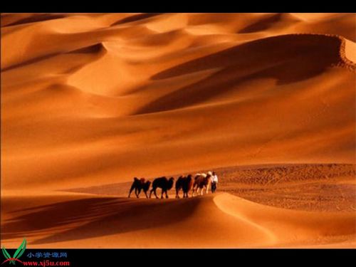 絲綢之路下載 語文