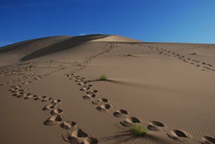 絲綢之路南北線 海量圖片 上篇