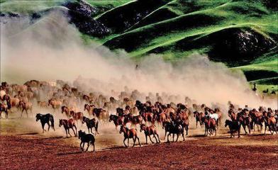 2019絲綢之路國際生態產業博覽會暨現代絲路寒旱農業綠色有機產品(張掖)交易會開幕