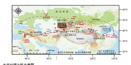 五千年前的超級干旱,改變了古絲綢之路走向