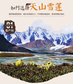 初食特產文化 重走古 絲綢之路 ,邂逅創新文城西寧