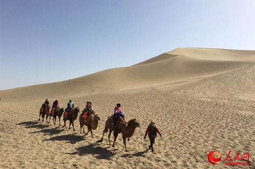 在大美敦煌感受絲路印象