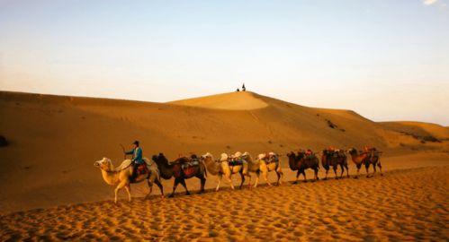 喜多郎 絲綢之路 前所未有的空靈聲色