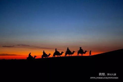 iub3c 大型活動絲綢之路