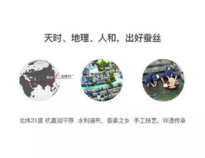 江南絲路 蠶緣家紡超級產品在絲綢之路上煥新啟程